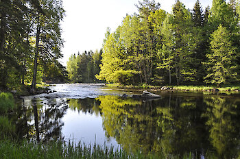 Wanderurlaub im Bayern
